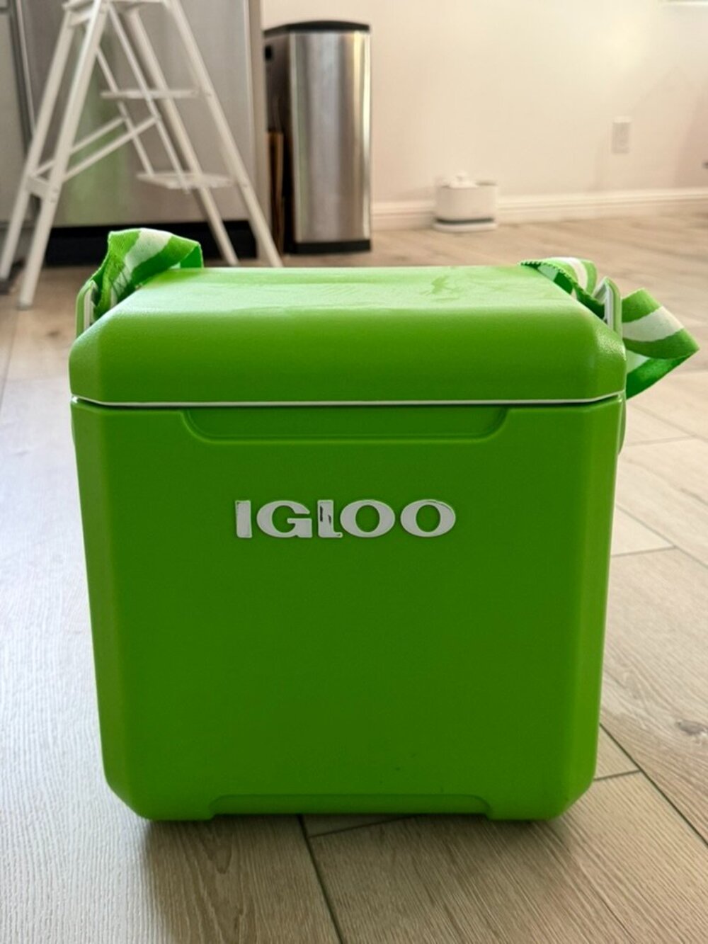 Igloo Tag Along Too 11qt Hard Sided Cooler - GREEN